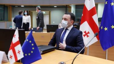 ЕС и Гарибашвили — грузинской оппозиции: Досрочных выборов не будет