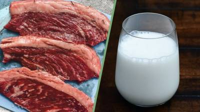 Мясо и молоко крупного рогатого скота вызывает рак