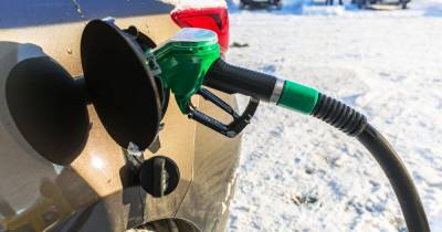 В Кремле не ожидают резких изменений цен на бензин в России