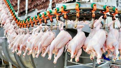 Украина возобновляет экспорт мяса птицы в ЕС