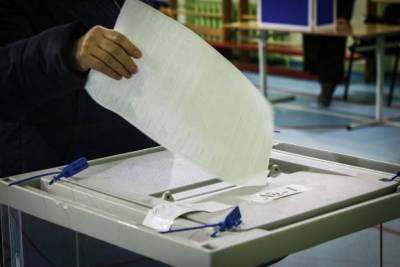 Петербургский горизбирком снова отозвал заявку на электронное голосование
