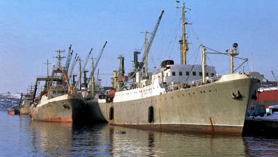 Мурманский траловый флот в 10 раз увеличивает количество акций