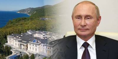 Для постройки дворца Путина под Геленджиком снесли детский лагерь Золотая лоза - расследование - ТЕЛЕГРАФ