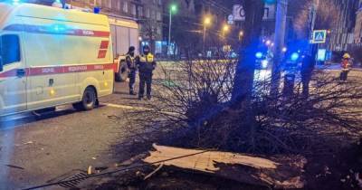 В Калининграде арестовали водителя сгоревшей на Барнаульской KIA с человеком внутри