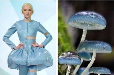 Странные грибы, рыбы и насекомые: на что действительно похожи дизайнерские платья - 20 сравнений