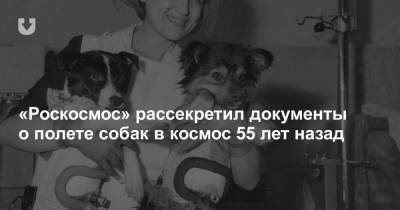 «Роскосмос» рассекретил документы о полете собак в космос 55 лет назад