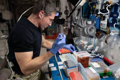 На МКС обнаружили неизвестные науке микробы