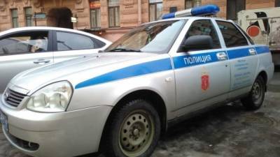 Полиция Петербурга ищет сбившего девочку водителя на черной иномарке