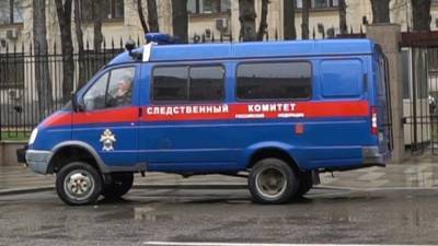 Против еще одного участника акции в Москве возбудили дело о насилии над полицейским