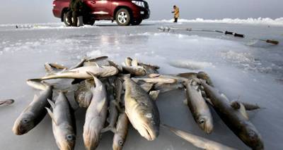 Заблудившихся на Чудском озере латвийских рыбаков вернули домой