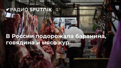 В России подорожала баранина, говядина и мясо кур