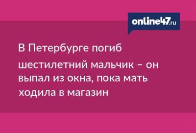 В Петербурге погиб шестилетний мальчик – он выпал из окна, пока мать ходила в магазин