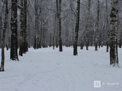 Содержание нижегородского парка Пушкина обойдется более чем в 4 млн рублей