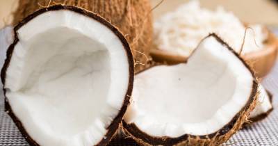 Как открыть кокос без ножа и топора: лайфхак