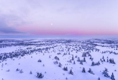 Этой ночью в Ленинградской области похолодает до - 13 градусов
