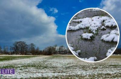 Самый неурожайный год: синоптик шокировал прогнозом на весну