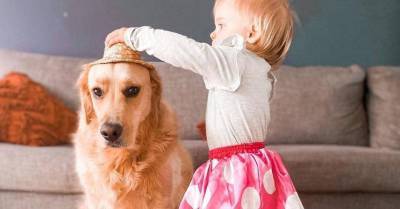 #мимимидня: внимательный пес с рождения заботится о дочери хозяев как старший брат