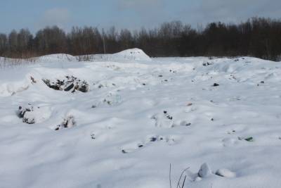 На окраине Архангельска «ЭкоИнтегратор» не справился с вывозом отходов