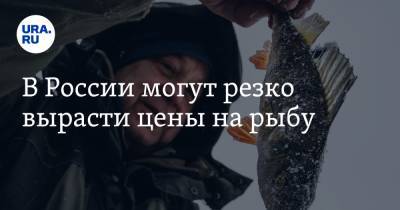 В России могут резко вырасти цены на рыбу