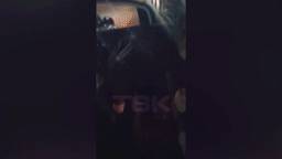 Красноярский таксист помыл машину вещами клиентки