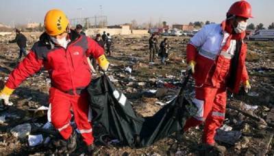 В Киеве раскритиковали иранский отчет о сбитом пассажирском лайнере МАУ