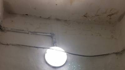 После восьмимесячного ремонта подъезда в Винзилях по стенам поползли мокрицы