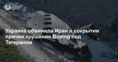 Украина обвинила Иран в сокрытии причин крушения Boeing под Тегераном