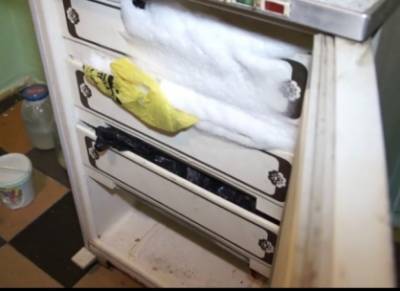 Россиянка расчленила сожителя и вызвала грузчиков, чтобы вынести холодильник с его телом