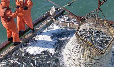 Рыбаки предупредили о подорожании рыбы на 25%
