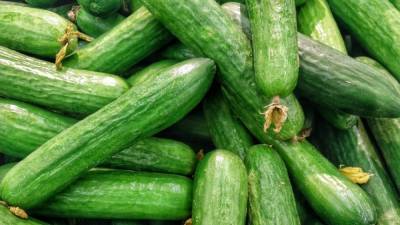 Тепличные хозяйства Подмосковья собрали 25 тысяч тонн овощей с начала года