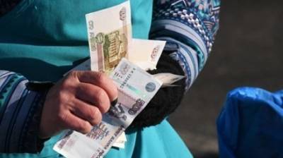Депутат Госдумы прокомментировала приостановку выплат для сохранения средств ПФР