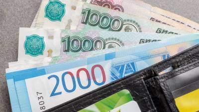 Россиянам-должникам оставят минимальный доход – СМИ