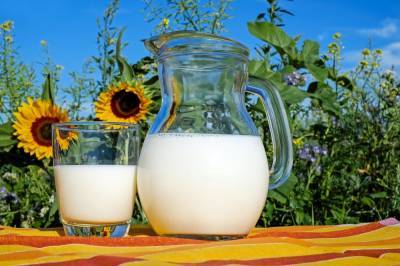 Производство молока в Украине продолжает уменьшаться
