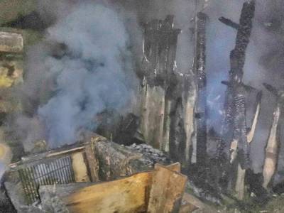 В Смоленском районе в пожаре погибли десятки птиц