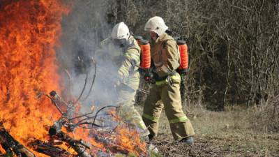 Устинов раскритиковал работу властей Крыма по предотвращению пожаров
