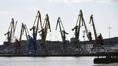 В Крыму назвали санкционные барьеры на полуострове «полной тупостью»