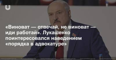 «Виноват — отвечай, не виноват — иди работай». Лукашенко поинтересовался наведением «порядка в адвокатуре»