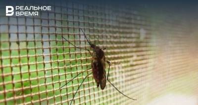 В многоквартирном доме в Казани выявили нашествие комаров