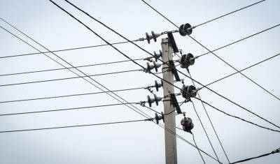 Жителям тюменских СНТ рассказали, куда обращаться при отключении электроэнергии
