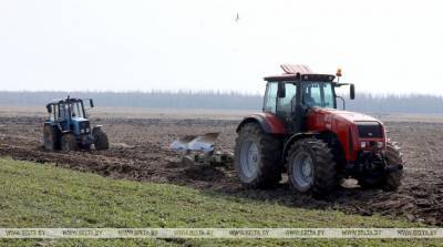 Активные полевые работы начались в Брестской области