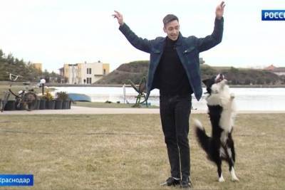 Пёс из Краснодара завоевал популярность в Тик Токе
