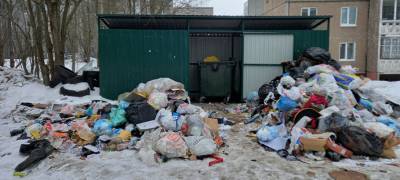 Жители района Петрозаводска устроили помойку-крысятник (ФОТО)