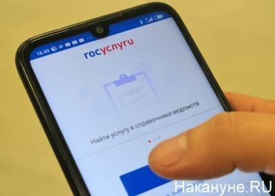 На госуслугах появится сервис по возврату в интернет-магазины некачественных вещей - nakanune.ru
