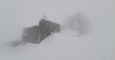 Карпаты заметает снегом: в горах метель и высокая лавинная опасность