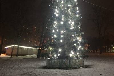 В Ленинском районе Ярославля до сих пор стоит новогодняя елка