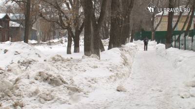 В Ульяновской области розовый снег признали фейком, а желтый прилетел из Китая