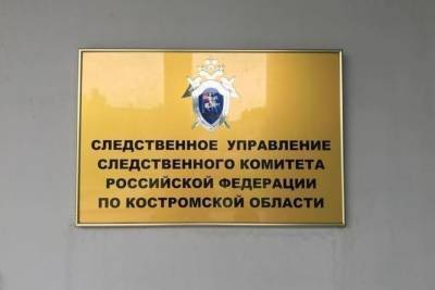 СК проведет проверку инцидента в костромской Якиманихе, где бродячие собаки искусали детей