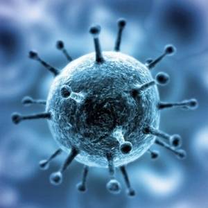 Ученые установили, как мутации коронавируса влияют на его заразность