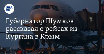 Губернатор Шумков рассказал о рейсах из Кургана в Крым. Скрин