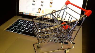 Претензии по поводу онлайн-покупок можно будет предъявить через портал госуслуг